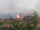  Тушили до позднего вечера: крупный пожар уничтожил дачные дома в СНТ «Химик»