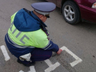 Полиция Волгограда задержала активиста, который раскрашивал «Ямы в цвет» на пути Лаврова и Штайнмайера 