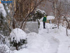 Аномально теплый февраль спрогнозировали в Волгограде