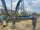 200 высоких деревьев высадят у катка в Волгоградском ЦПКиО