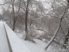 Сильный мороз резко сменился "плюсом" в Волгограде