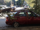 ﻿13 месяцев волгоградец выясняет, кто должен отвечать за упавшее на машину дерево