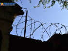 Журналисты опубликовали фото с последствиями пыток в волгоградском СИЗО