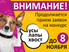 Продолжается прием заявок в конкурсе «Усы, лапы, хвост!»