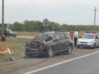 На трассе Волгоград-Камышин Renault насмерть сбил корову
