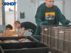 Взгляд изнутри: что увидели корреспонденты в рыбодобывающей компании