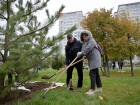 Две трудовые династии «Красного Октября» приняли участие в высадке промышленной аллеи