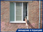 Спилить сухое дерево, а не любоваться выбитыми ветками стеклами надеются жители центра Волгограда 