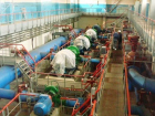 Жителям Тракторозаводского района отключат воду