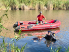 Тело мужчины обнаружили в волгоградском пруду 