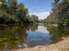 Живописный лиман в пойме пустят с молотка под Волгоградом