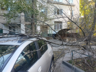 Из-за ветра 24 м/с объявлен «желтый» уровень опасности в Волгоградской области