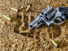  За найденный пистолет коллекционеру оружия из Волгоградской области грозит срок
