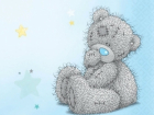 Правообладатель медвежонка «Tatty Teddy» требует 25 тысяч с магазина Волжского