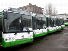 Стоимость проезда в автобусах Волгограда может подняться до 50 рублей, - водители "Питеравто"
