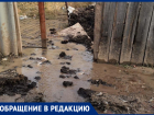 По улицам стекает навоз: прорванный водопровод топит улицы в Волгограде