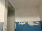 Неаккуратных волгоградцев обвинили коммунальщики в засилье черных мошек
