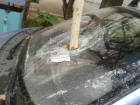 Последствия урагана в Волгограде: поваленные деревья и разбитые авто