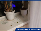 «Сосед меня пытался убить и продолжает угрожать, а полиция бездействует», – жительница Волгоградской области