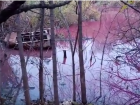Пробы с розового озера в Волгограде отправили на экспертизу