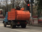Бурый медведь продолжает кататься на мусоровозах в Волгограде