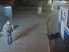 «Водитель не убедился, что все зашли в салон»: на видео попало, как 72-летняя волгоградка выпала из троллейбуса