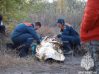 В зарослях камыша нашли ушедшую за грибами волгоградскую пенсионерку 