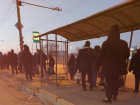 В Волгограде запустили ночные рейсы автобусов