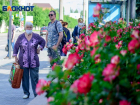 «Масочный режим пришел надолго»: обстановка с коронавирусом в Волгоградской области на 15 июня 