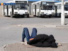 Жуткие подробности: у найденного в Волгограде мертвого мужчины голову и конечности съели животные