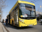 Волгоградские автобусы привели к единому расписанию движения