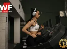 Wellfit – там где фитнес стал философией жизни