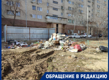 Крысы и обросший мусором берег: как гибнут перспективные места для детского отдыха в Волгограде