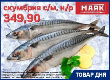 Скумбрия свежемороженая неразделанная 349.90 руб/кг в «Маяке»  на Пролетарской