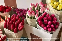 Тюльпаны по цене чашки кофе! Только один день!