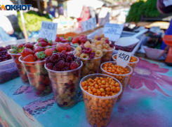 В Волгоградской области нелегальных торговцев заманивают на рынки низкой стоимостью мест за прилавками