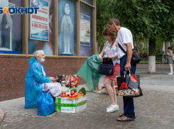Рост стоимости базовых продуктов ударил по кошельку волгоградцев