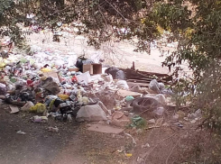 УК запретила жителям Волгограда пользовать мусоропроводом 