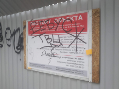 Волгоградцы начали сбор подписей за снос скандального фуд-корта семьи депутата Колесникова