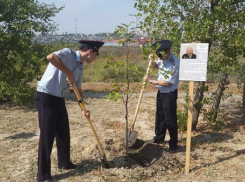 Сотрудники полиции в Волгограде убрали территорию на Мамаевом кургане