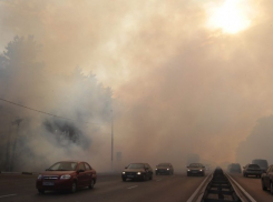 Экологи: Химический смог и удушливый запах пришли в Волгоград из Светлоярского района