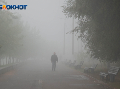 Трехдневный туман накроет Волгоградскую область 