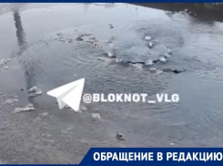 Фекальный ручей забил на юге Волгограда – видео 
