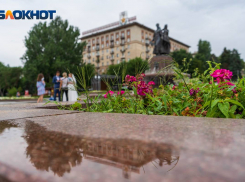 Более 95% волгоградцев не верят, что город станет зеленее