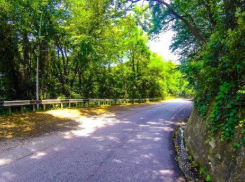 Волгоградский август «порадует» температурой +34 градуса