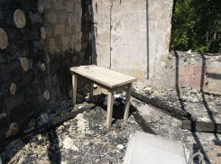 Игра кошек довела мужчину до смерти в Волгоградской области