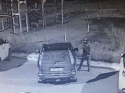 Криминальные разборки в Волгограде: окровавленные органы заинтересовали полицию