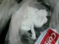 Камышанка принесла своему заключенному родственнику героин в тюбике зубной пасты