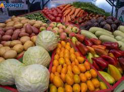 Популярный продукт рухнул в цене в Волгограде