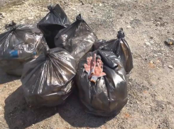 Импотенция коммунальных служб Волгограда: жители убирают мусор сами